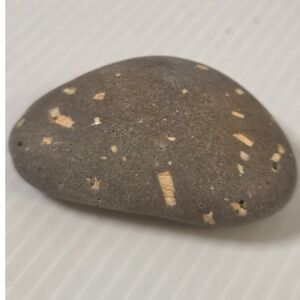 Gray Speckled River Stone Natural Feldspar Inclusions 2 Inch